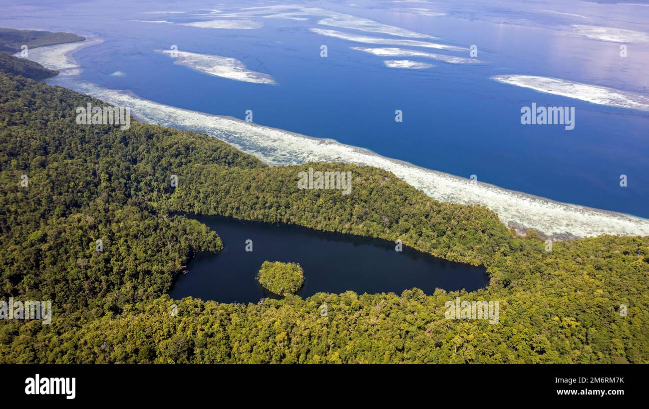 Aerial view of coral reefs along the coast of Mansuar Island, Dampier Strait, Raja Ampat Indonesia. Stock Photo