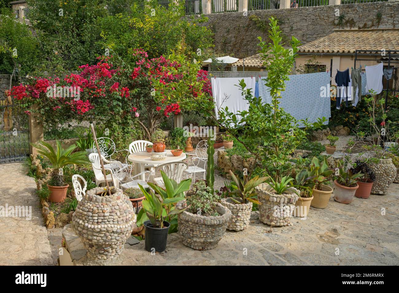 Blumentöpfe, Garten, Altstadt, Valldemossa, Mallorca, Spanien Stock Photo