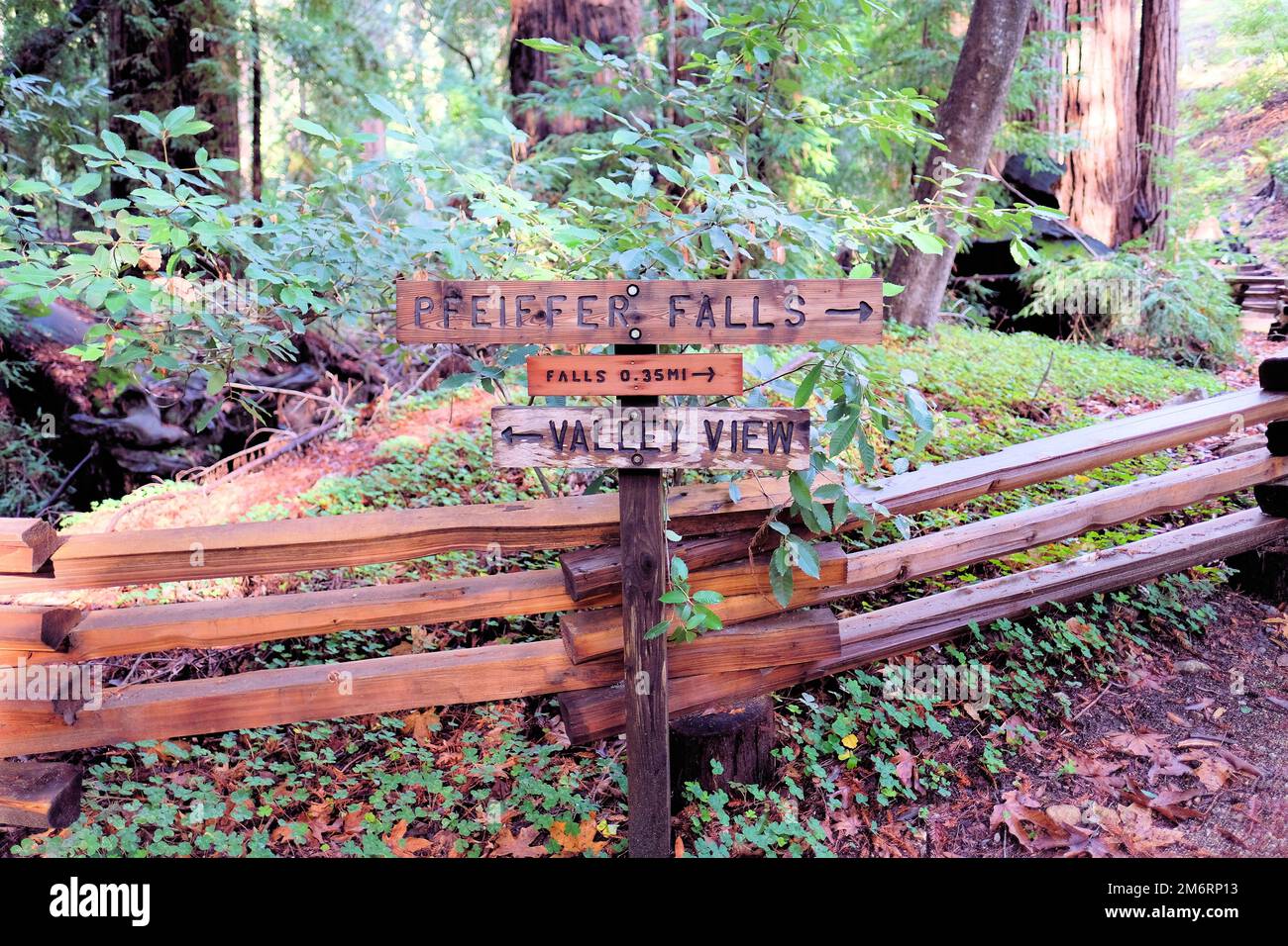 Hiking trail signs and markers at Pfeiffer Big Sur State Park in Monterey County, California, near Big Sur; Pfeiffer Falls trail. Stock Photo