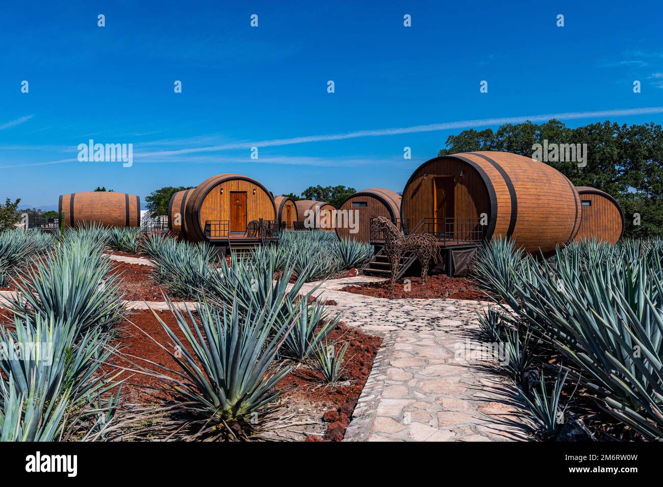 Hotel rooms in the form of a Tequila barrel in an blue agave field, Tequila Factory La Cofradia