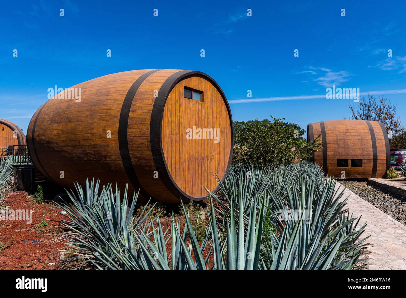 Hotel rooms in the form of a Tequila barrel in an blue agave field