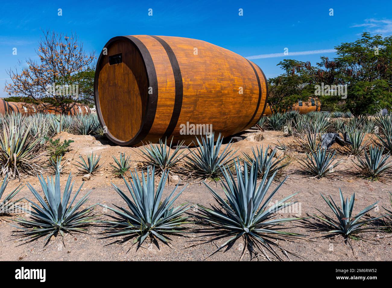 Hotel rooms in the form of a Tequila barrel in an blue agave field, Tequila Factory La Cofradia