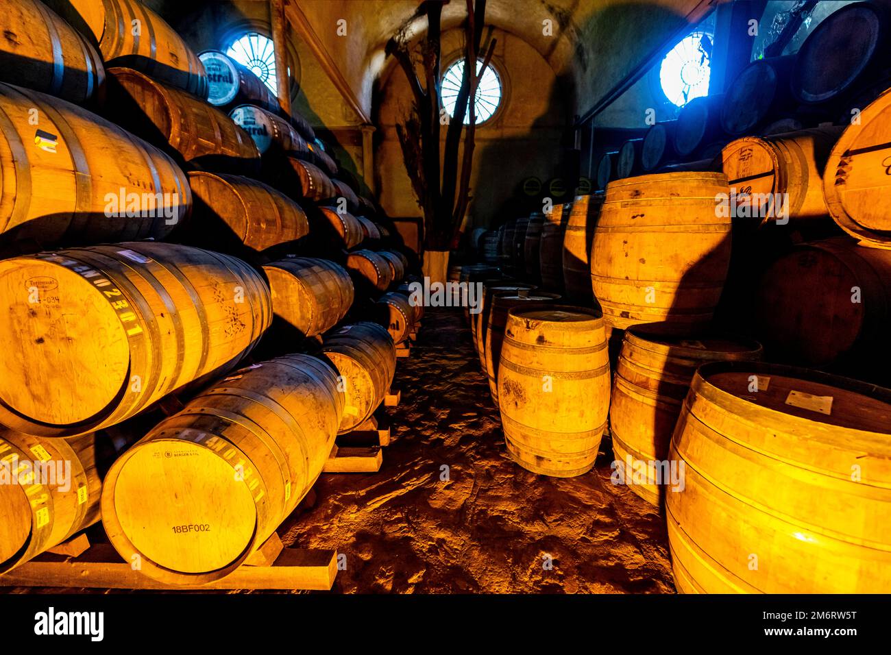 Old storage facility for Tequila barrels, Tequila Factory La Cofradia