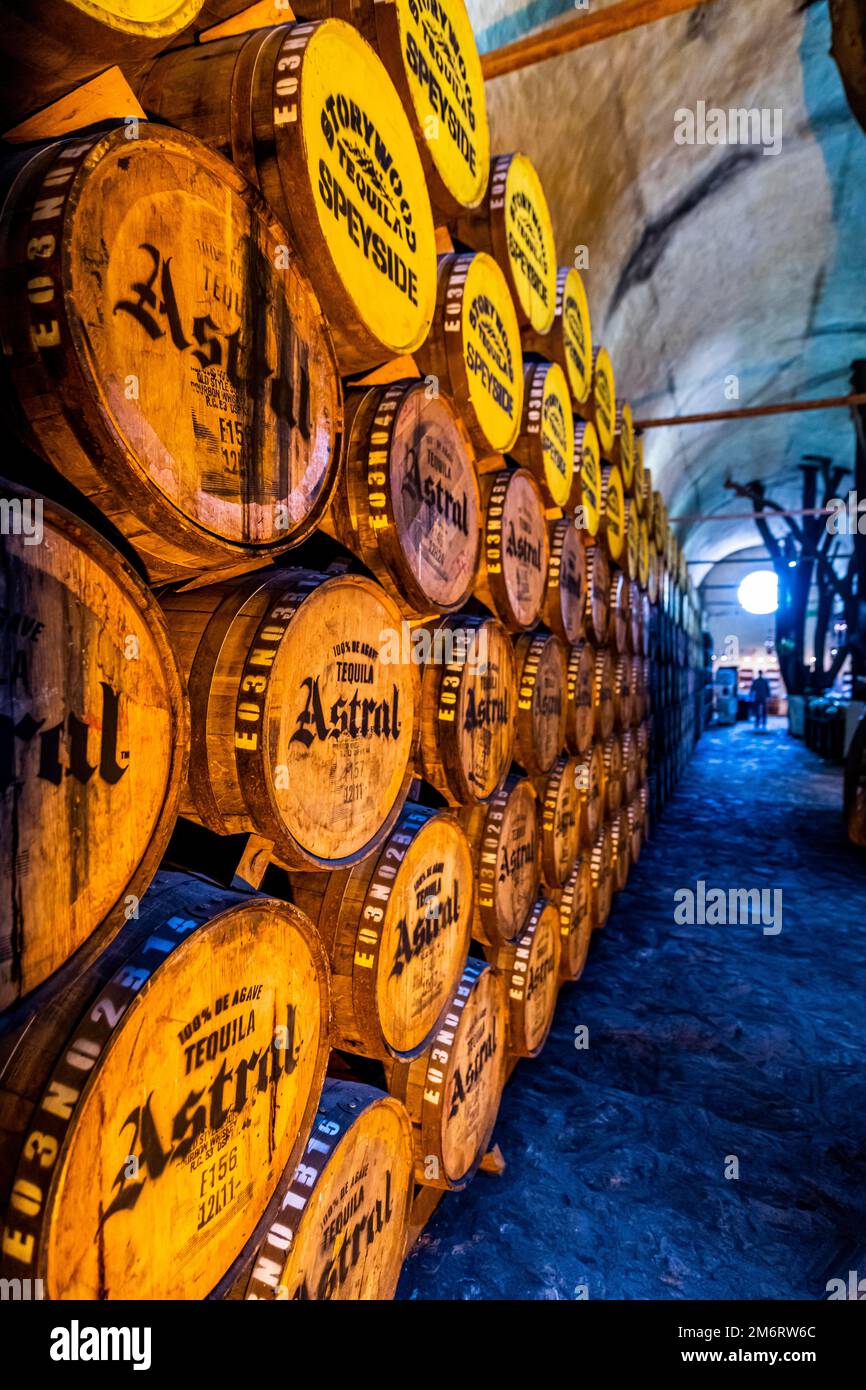 Old storage facility for Tequila barrels, Tequila Factory La Cofradia