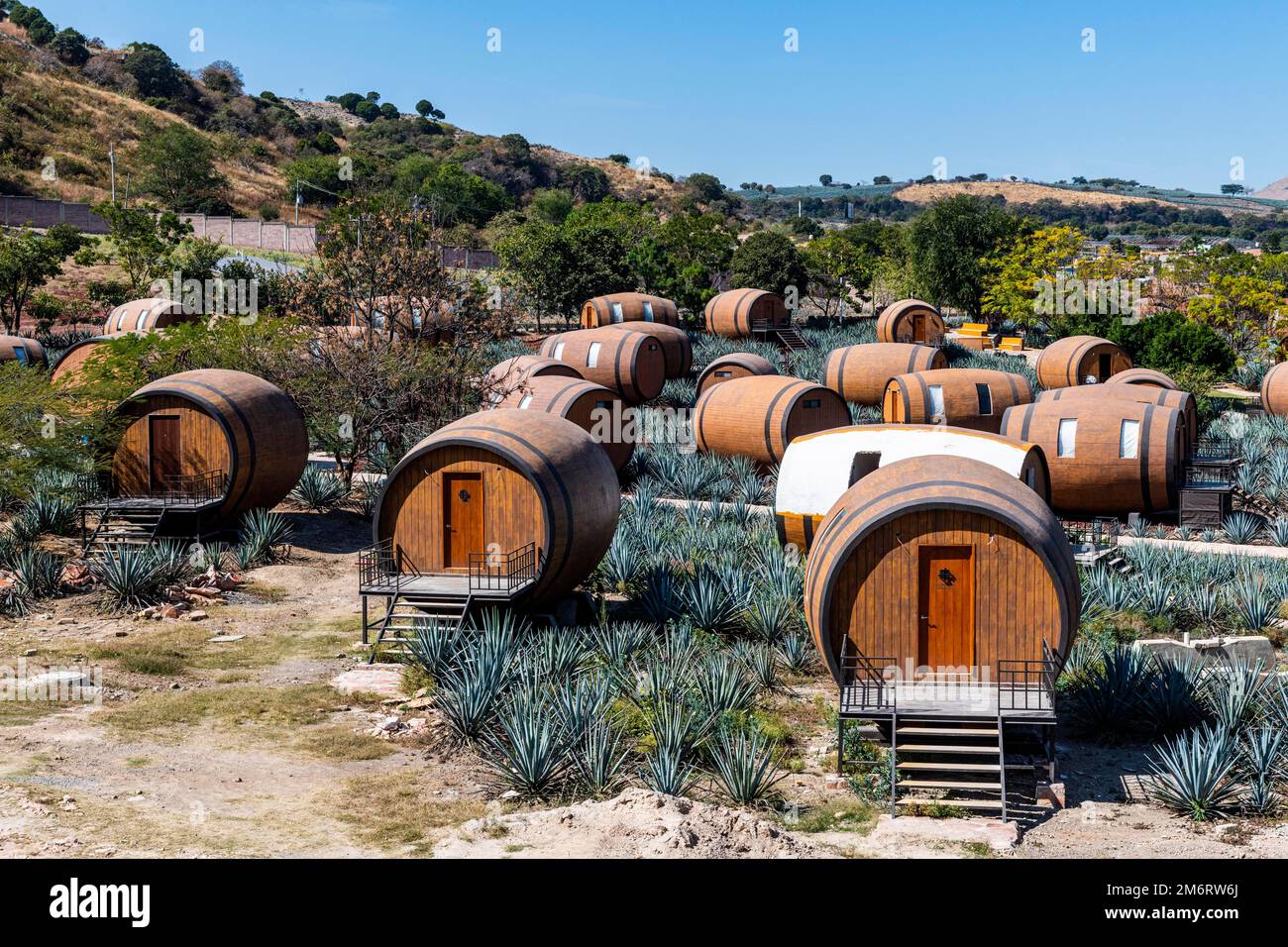 Hotel rooms in the form of a Tequila barrel in an blue agave field