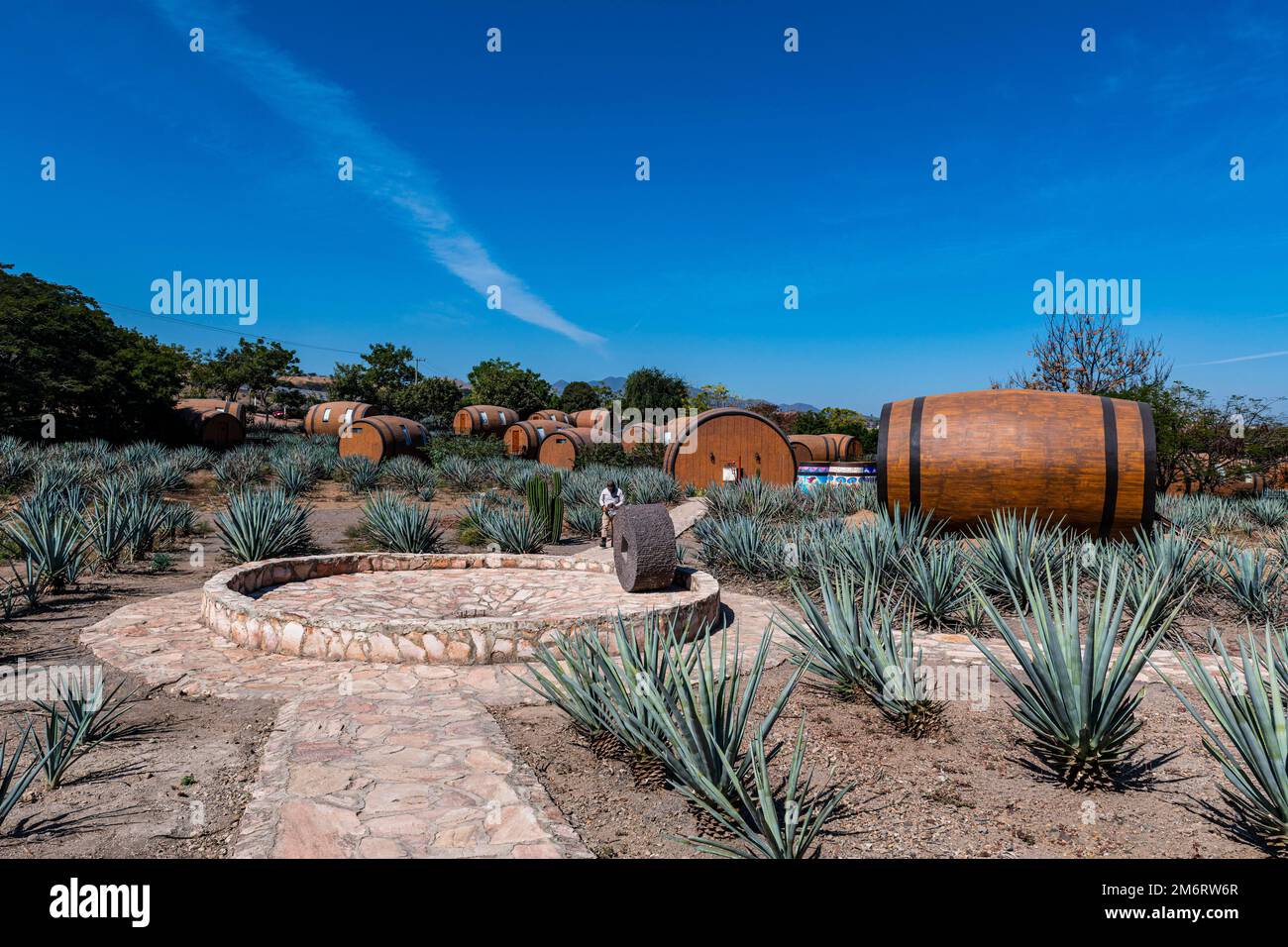 Hotel rooms in the form of a Tequila barrel in an blue agave field