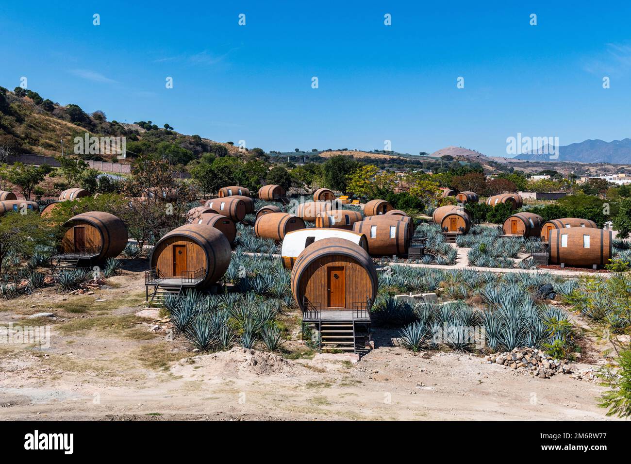Hotel rooms in the form of a Tequila barrel in an blue agave field
