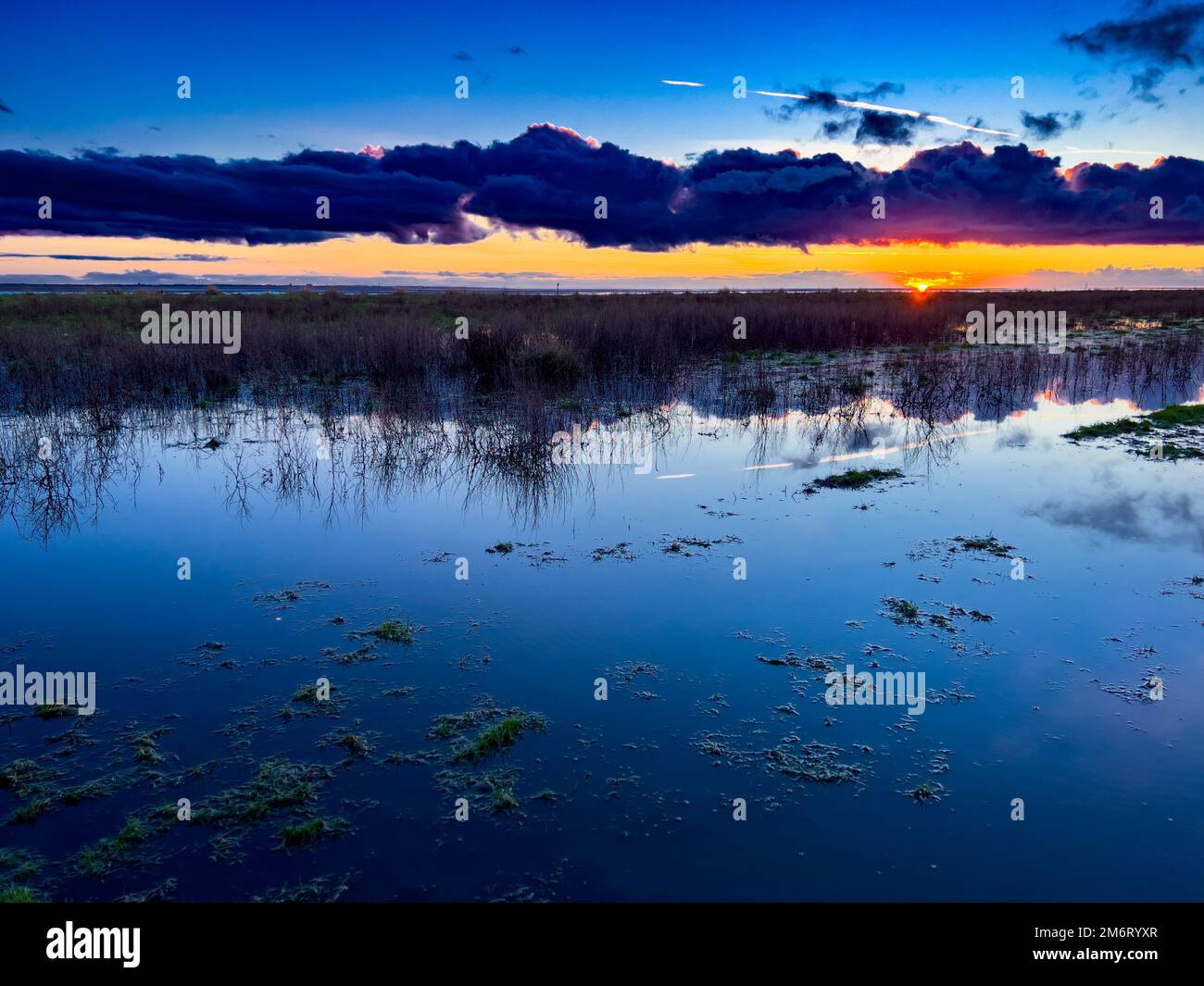Coastal Wetlands Sunset Stock Photo