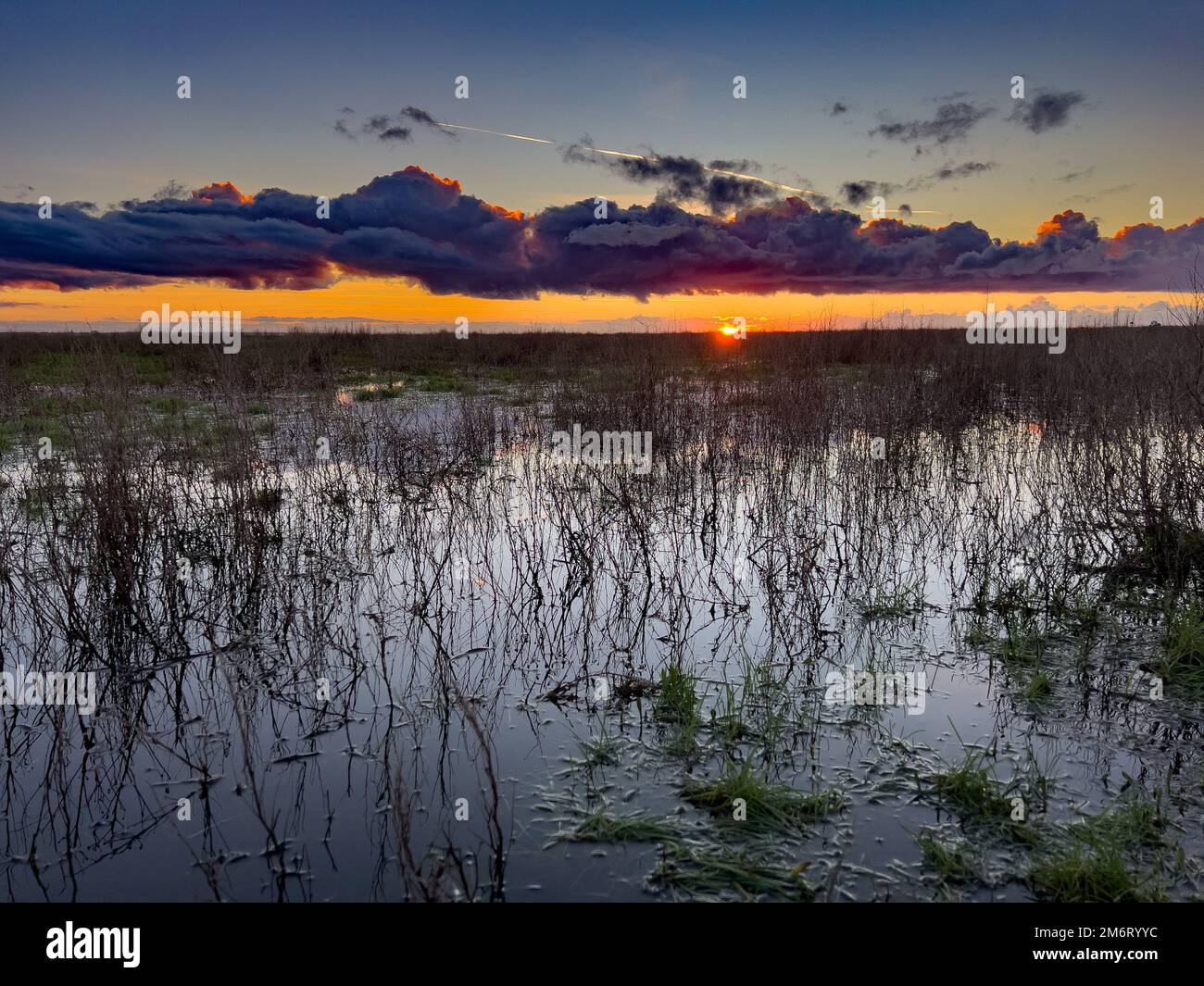 Sunset on Coastal Wetlands Stock Photo