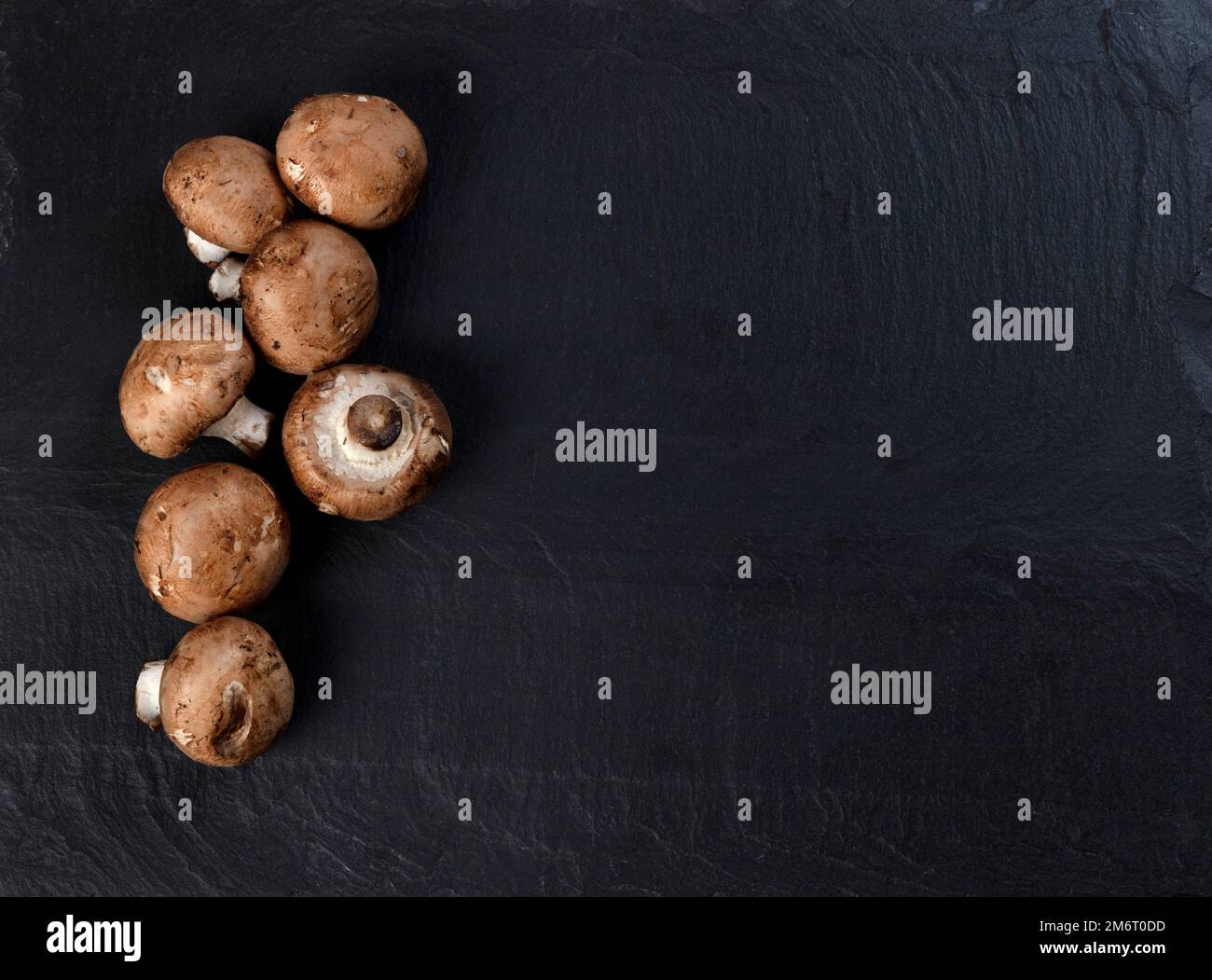 Freshly harvested champignon mushrooms on dark stone background Stock Photo