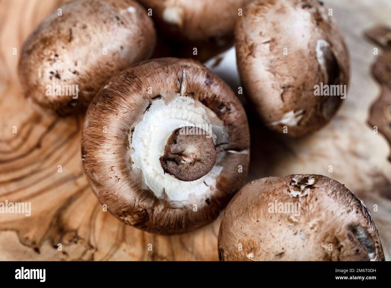Champignon mushrooms in close up view on wood background Stock Photo