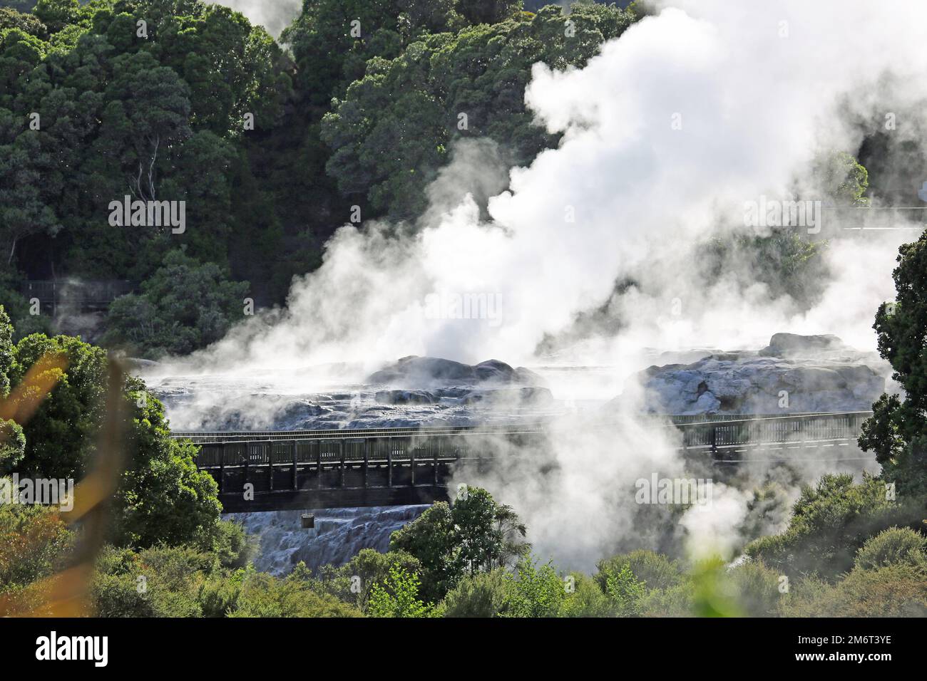 Te Puia geothermal valley - New Zealand Stock Photo