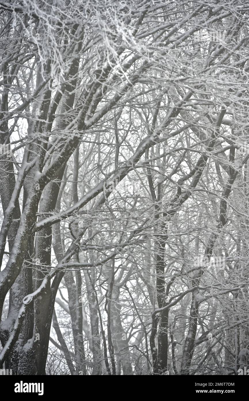 Snow scenes sussex hi-res stock photography and images - Alamy