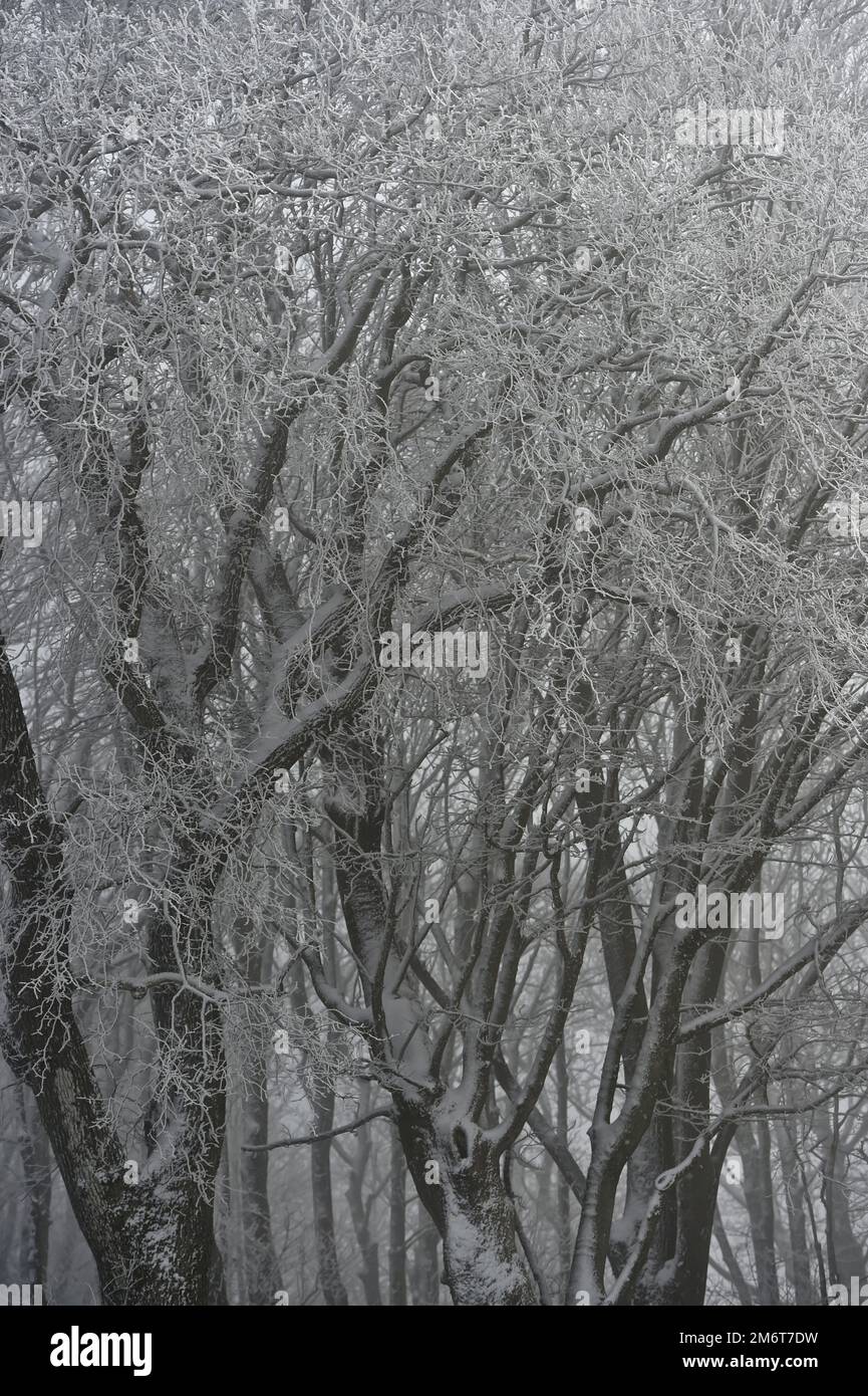 Snowfall rural east sussex hi-res stock photography and images - Alamy