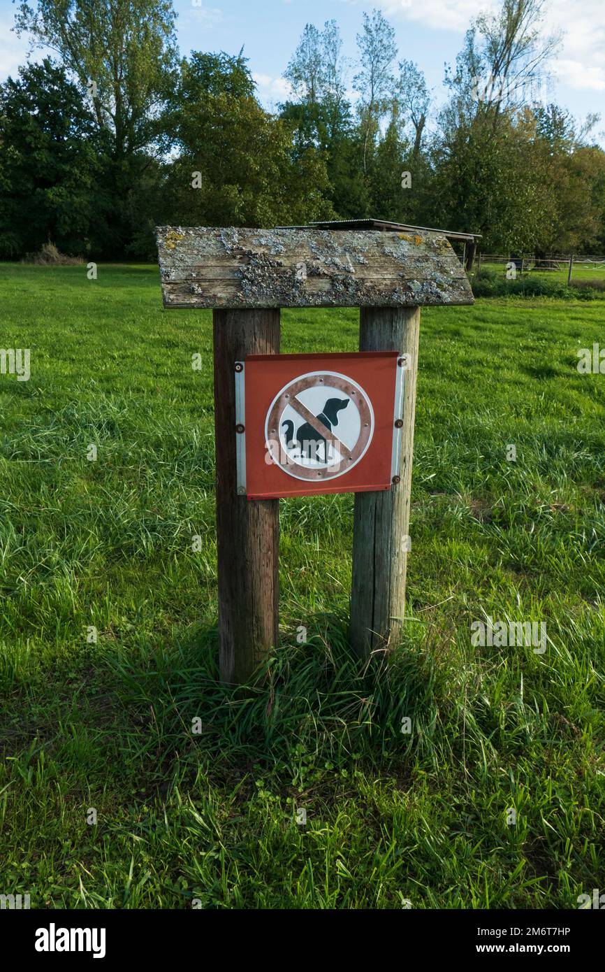 Verbot Schild Hund durchgestrichen, steht auf einer Wiese Stock Photo