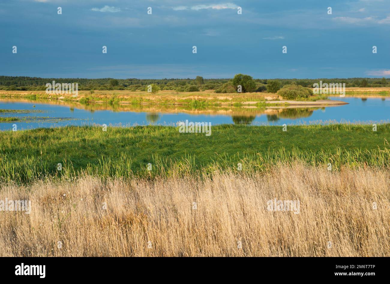 Trees in both river banks hi-res stock photography and images - Alamy
