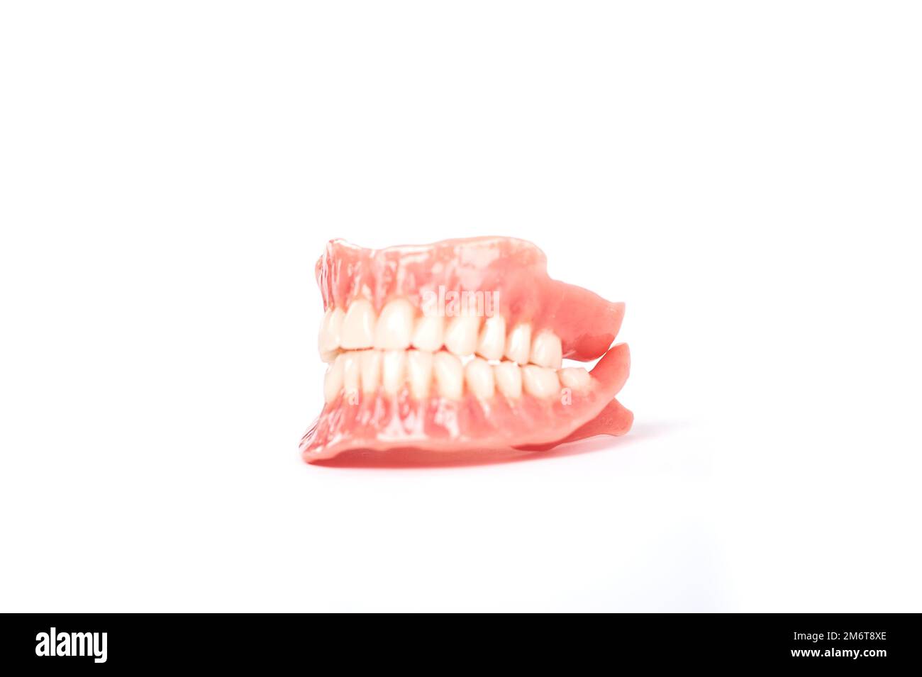 Dental prostheses on a white background. Beautiful teeth ceramic press