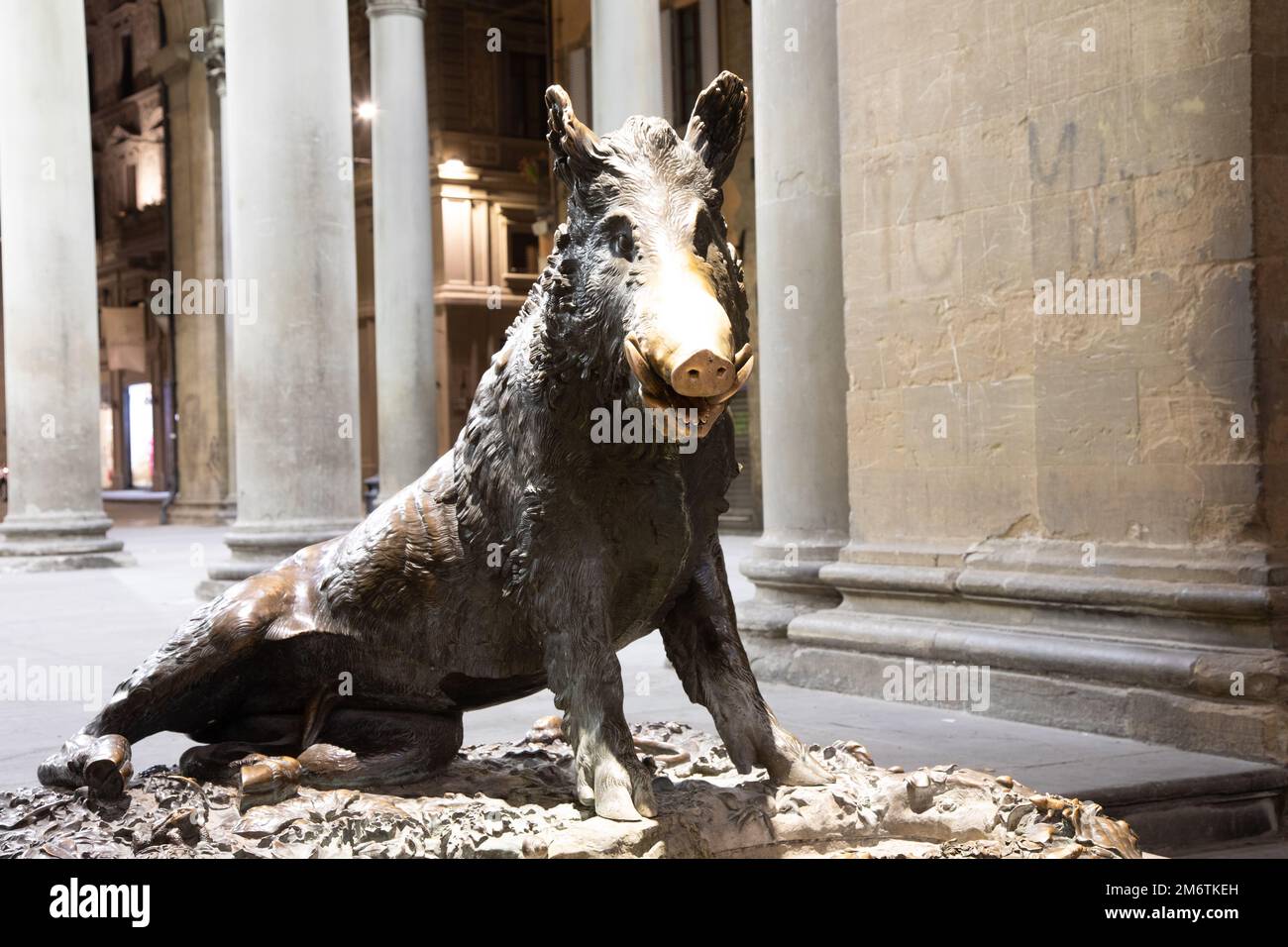 Florence, Italy Circa January 2022 the antique pig statue, symbol of