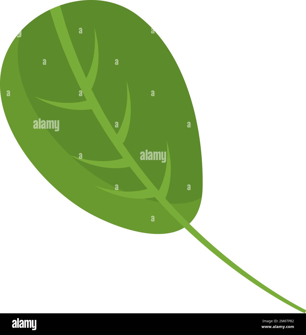 leaf nature icon Stock Vector Image & Art - Alamy