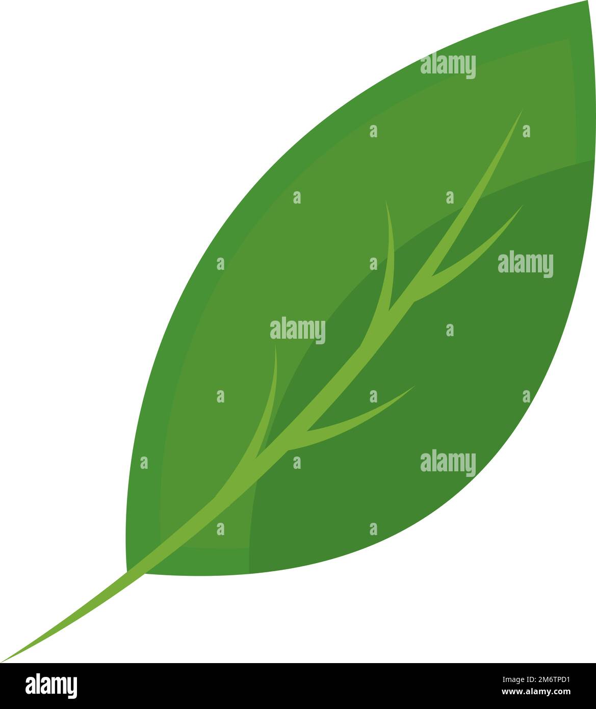 leaf flat design Stock Vector Image & Art - Alamy