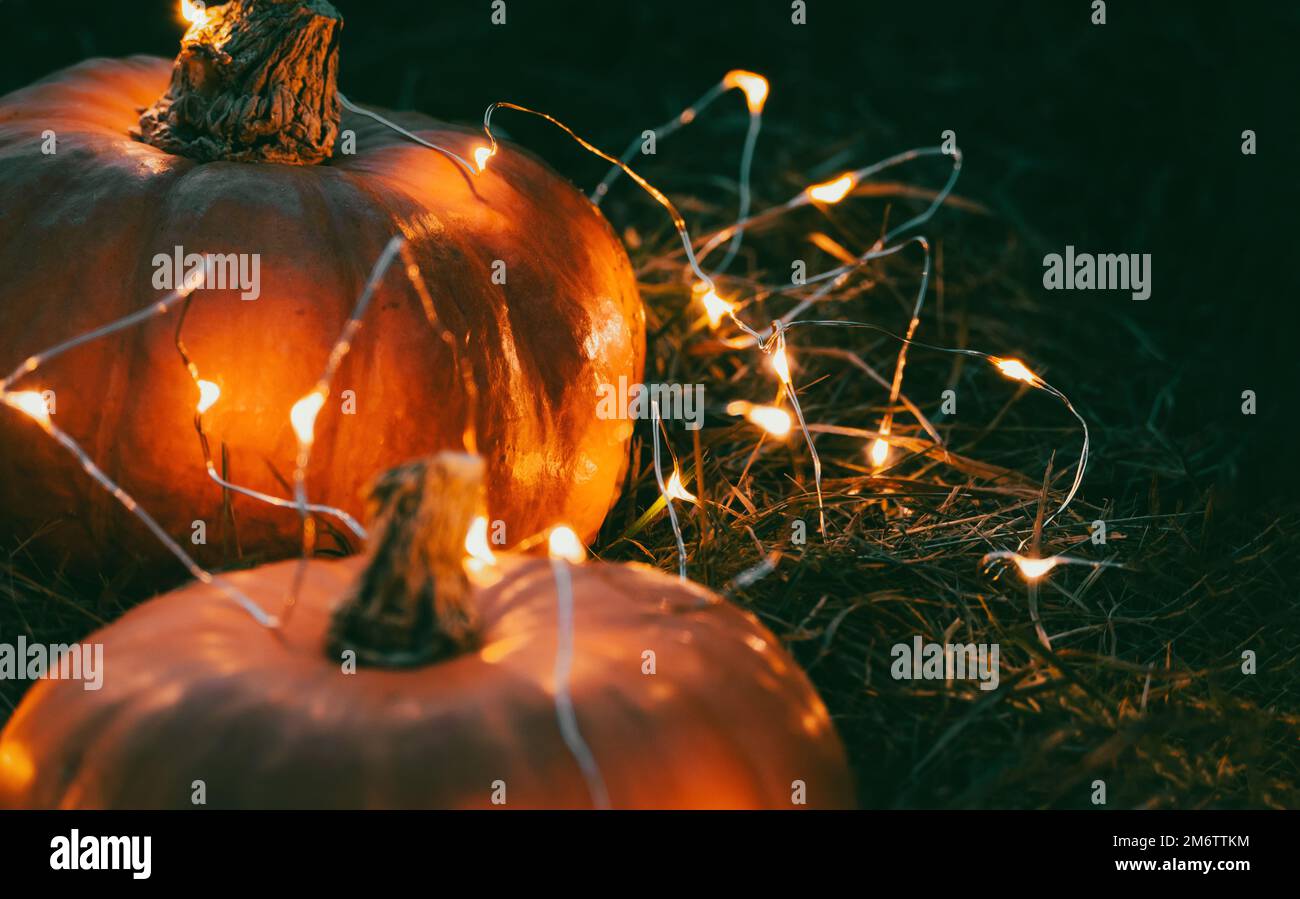 Halloween pumpkins and fairy lights for Halloween party invitation design Stock Photo