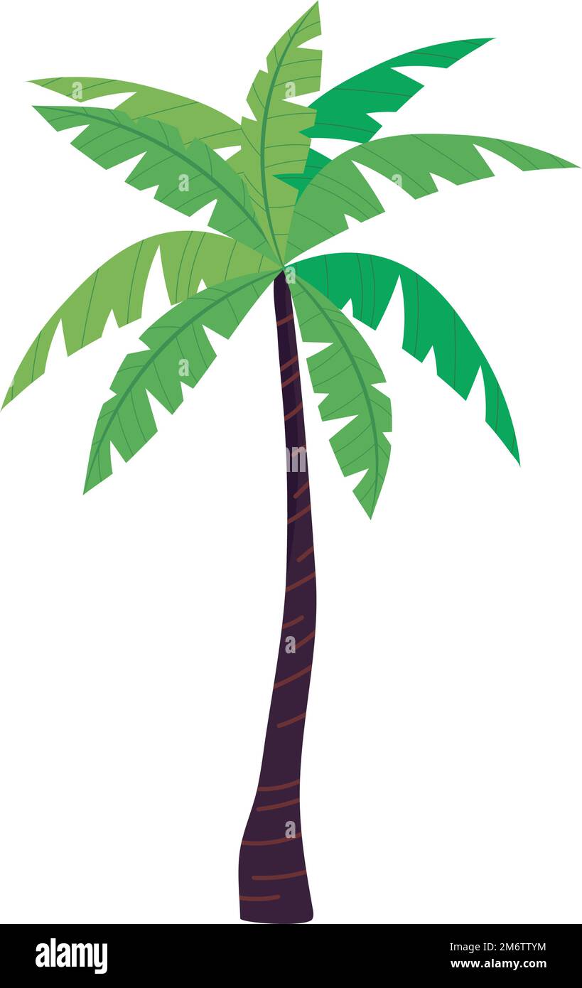 tropical palm tree Stock Vector Image & Art - Alamy