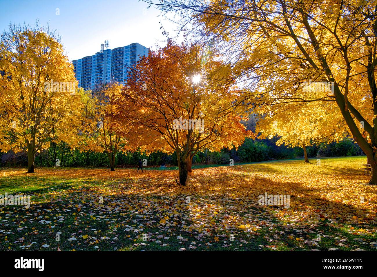 Lifestyle - Apartment Living with autumn leaf colour Stock Photo