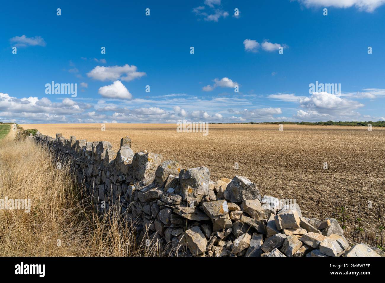 Traditional stone wall separates acres and farm fields on the Monknash Coast of South Wales Stock Photo