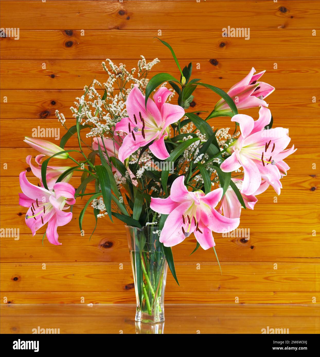 Gorgeous pink flowers Stock Photo - Alamy