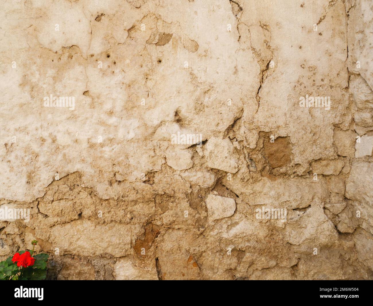 Old wall background texture Stock Photo