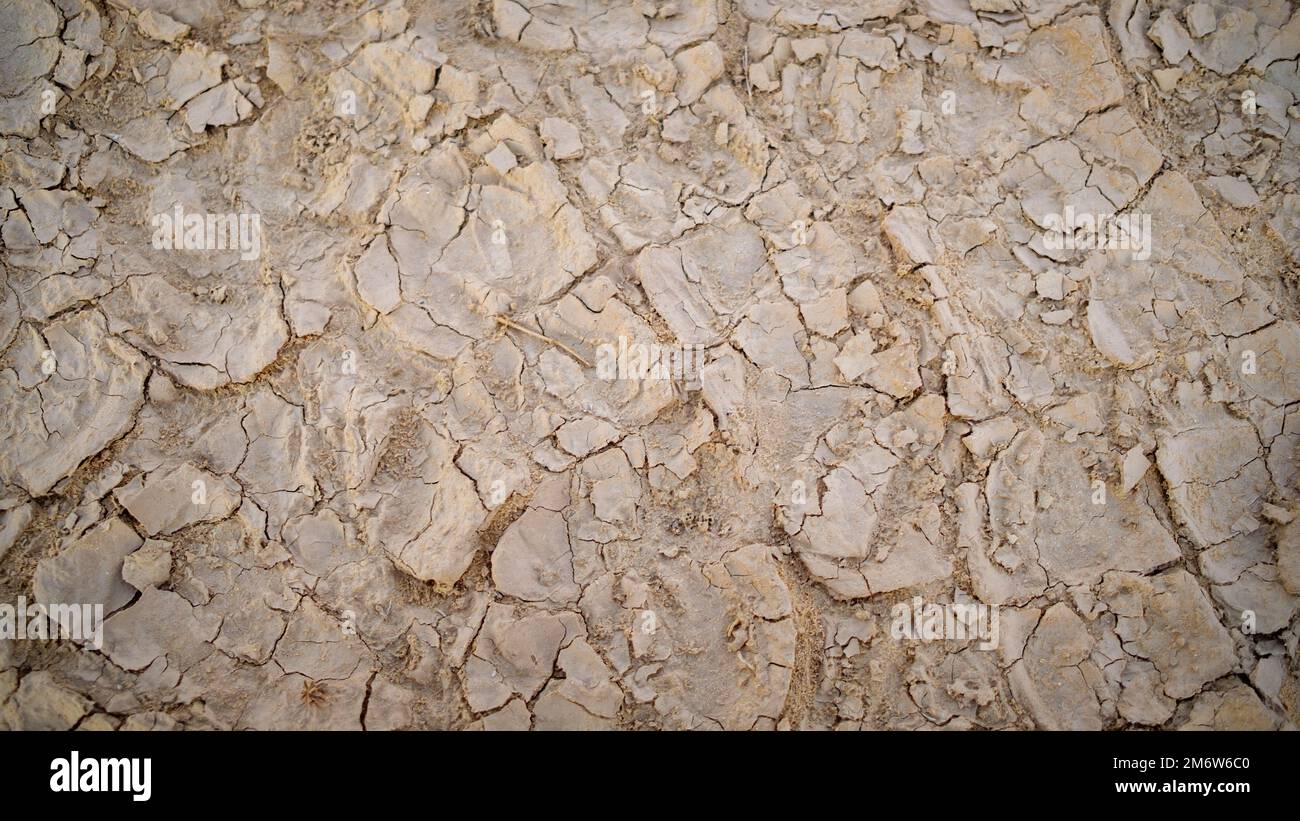 Dry earth background texture Stock Photo