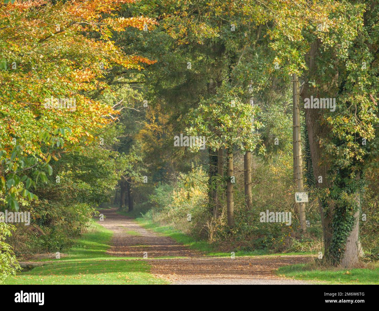 Hiking  in the german emsland Stock Photo