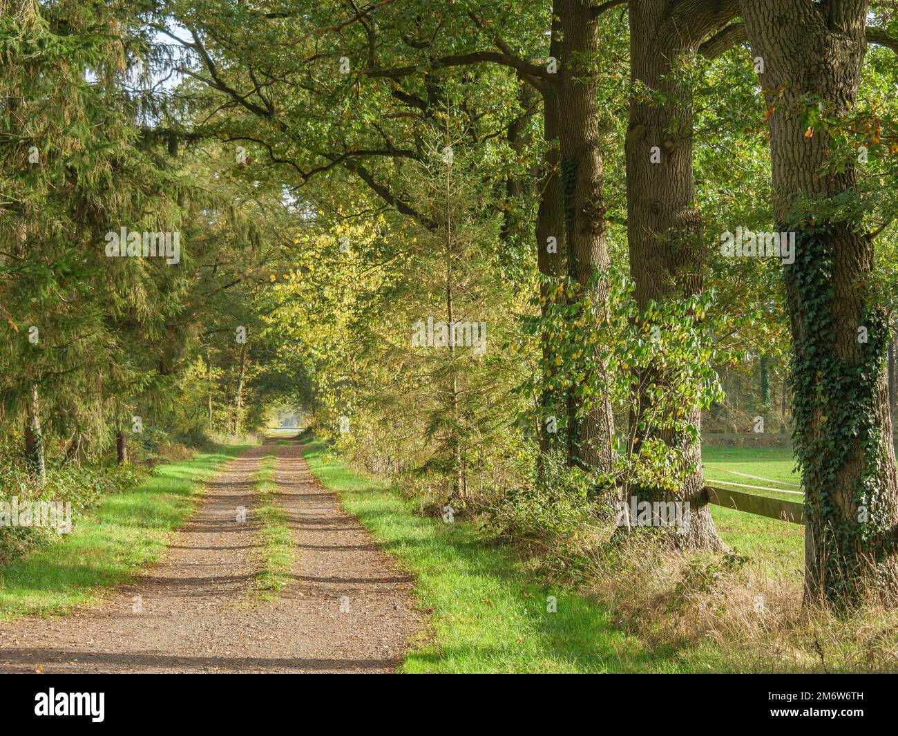 Hiking  in the german emsland Stock Photo