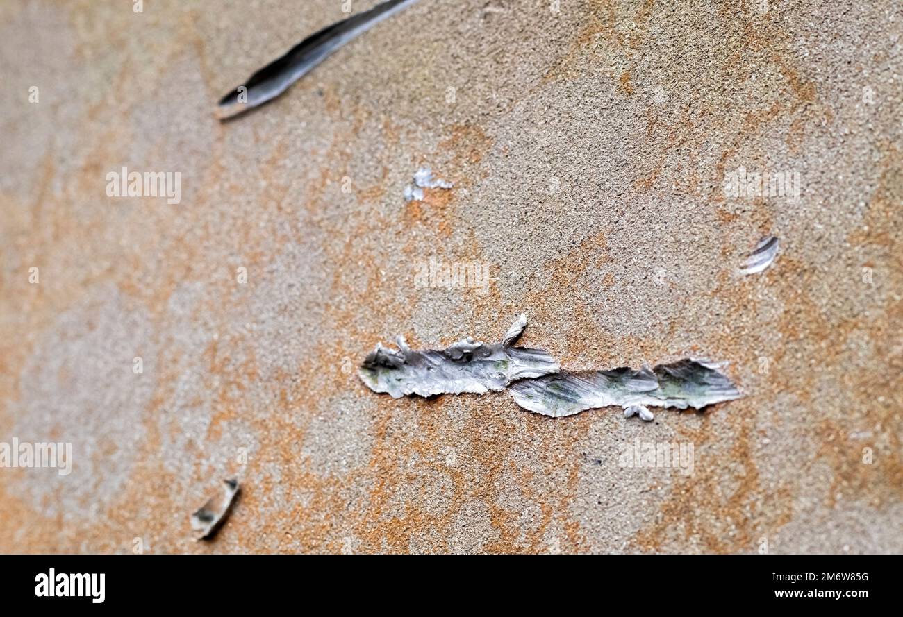 armor damage black ops 4 july 2025