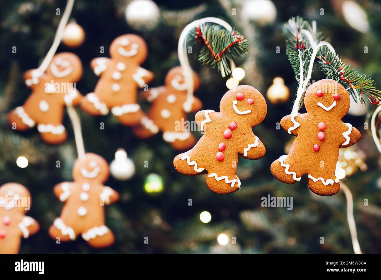 Gingerbread cookies hanging on Christmas tree Stock Photo