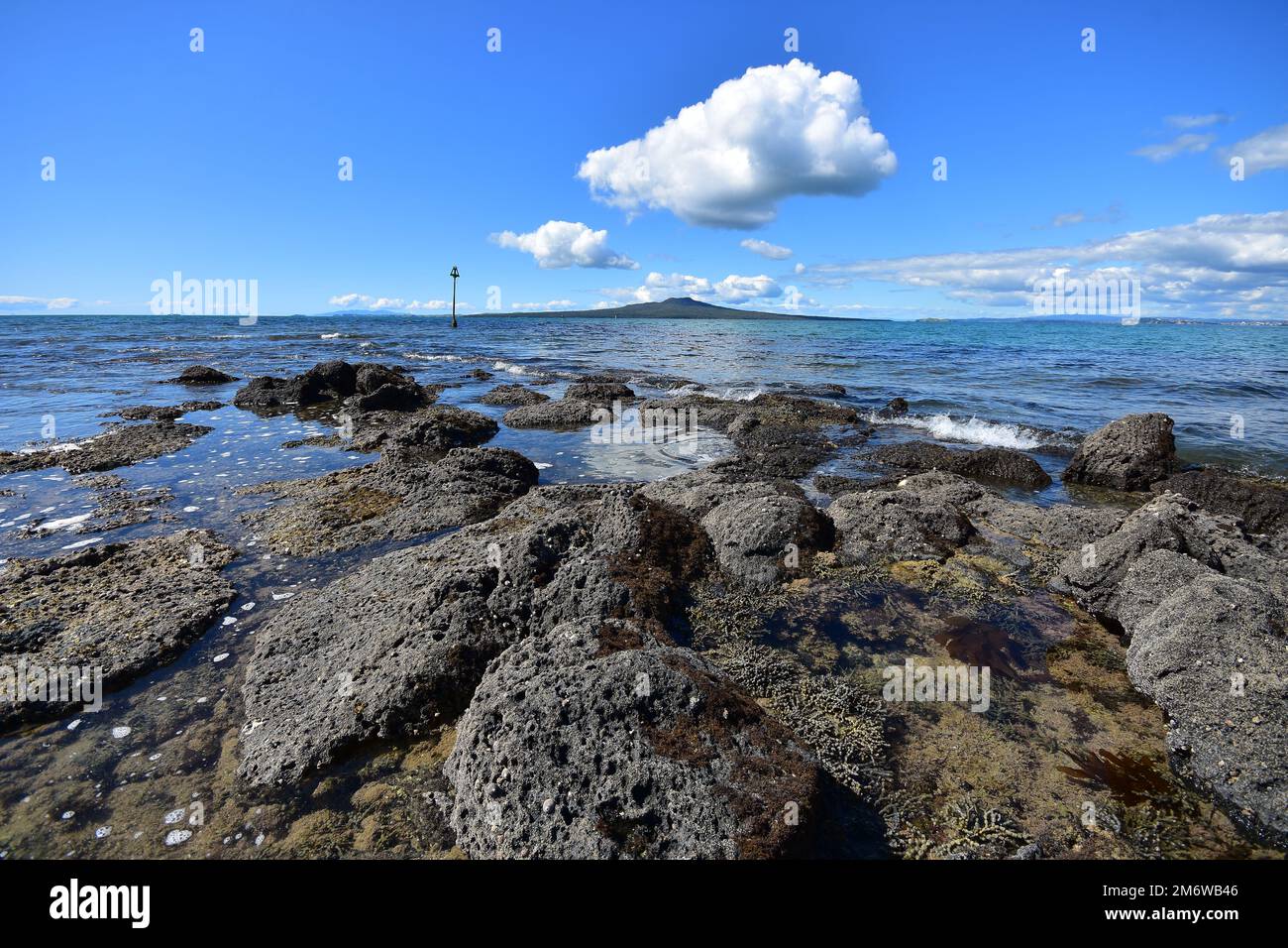 Coastal volcanic rocks exposed at low tide with Rangitoto volcano ...