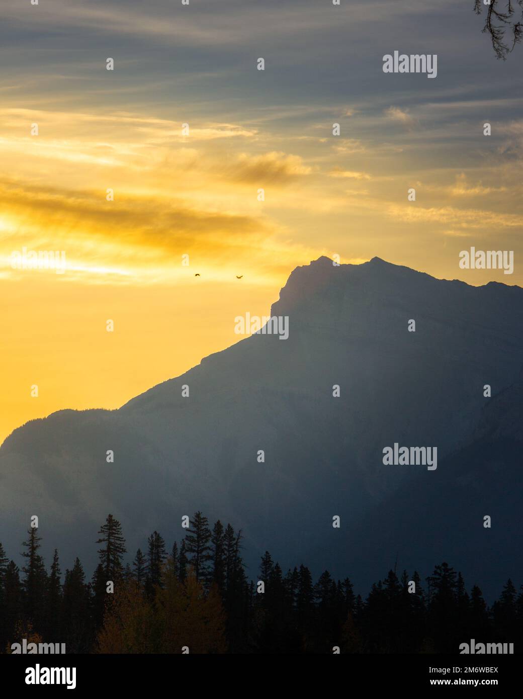 Bow Valley Rise. Stock Photo