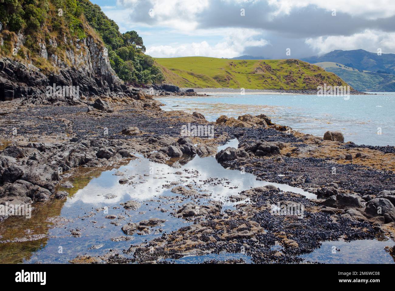 A Look at Life in New Zealand abundant seafood, edible seaweeds and