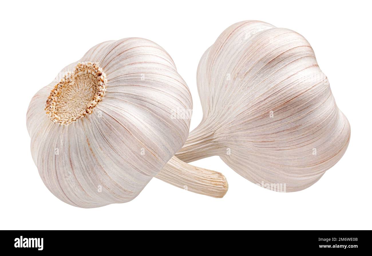 Garlic isolated on white background with clipping path Stock Photo