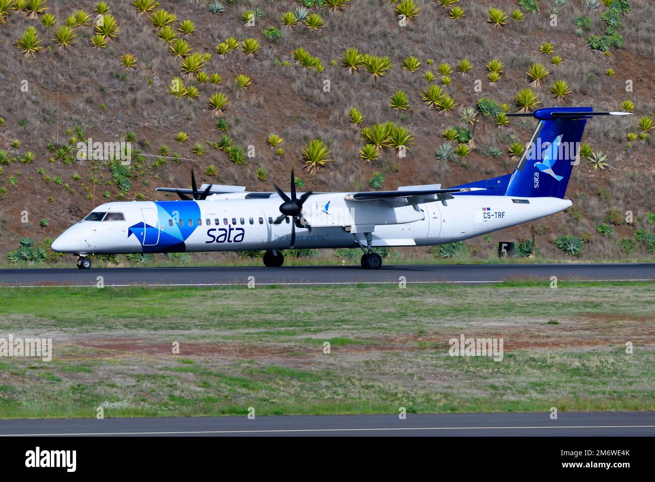 Azores Airlines De Havilland Dash 8 Q400 series aircraft landing. Airplane DHC-8 of Açores Airlines, previously know as SATA Air Acores. Stock Photo