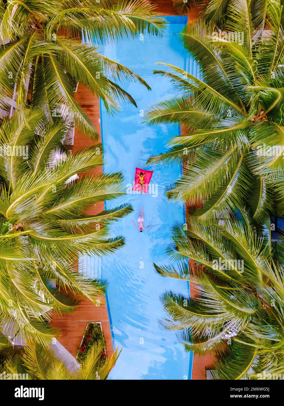 Drone view at swimming pool with palm trees, couple men and women in swimming pool Stock Photo