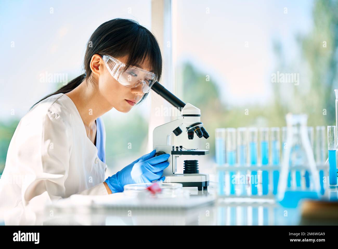 Portrait of asian scientist looking through a microscope working on medical research in modern laboratory Stock Photo