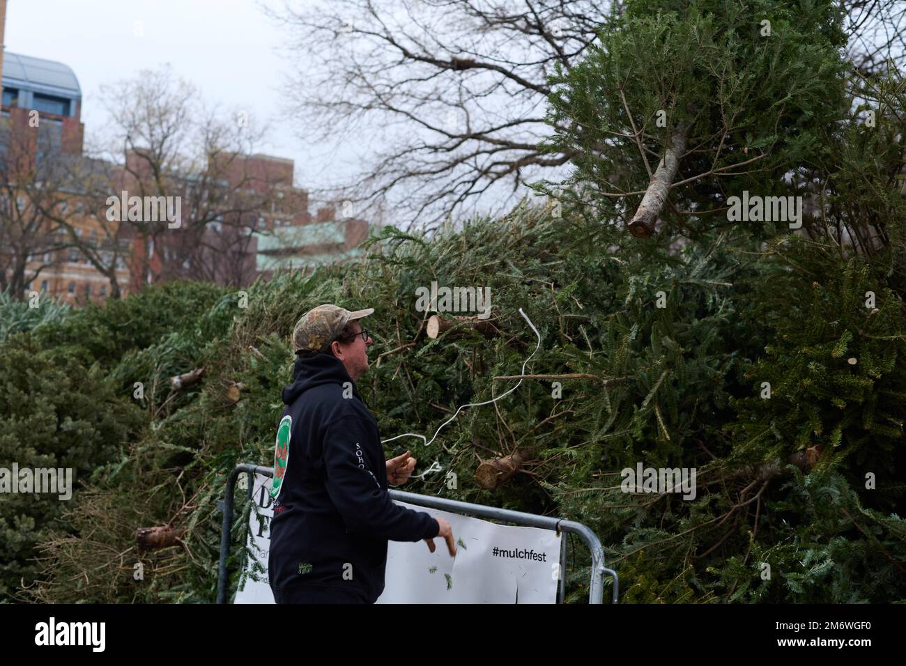 New York, New York, USA. 5th Jan, 2023. Christmas trees pile up at