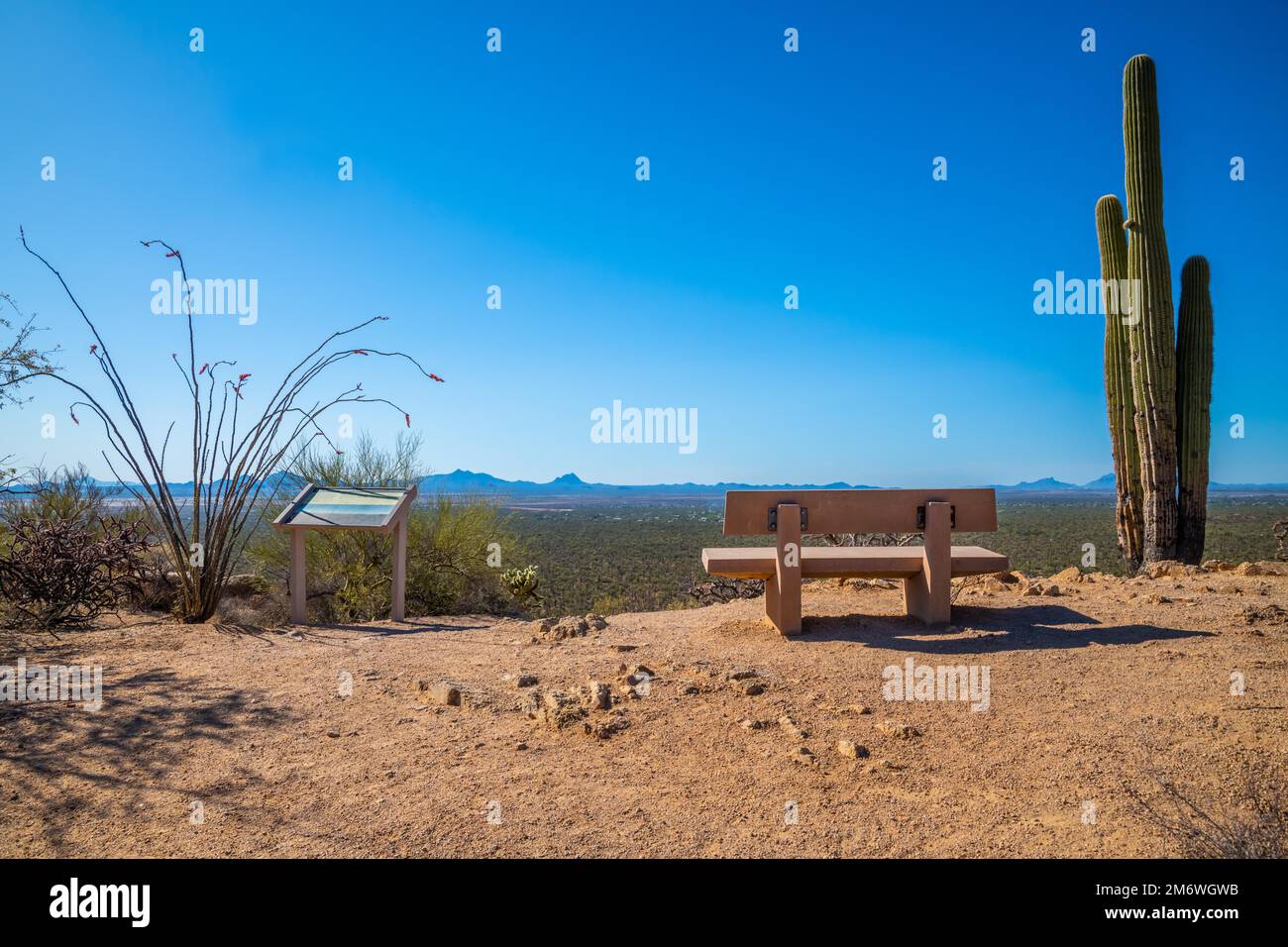 A description board for the trail in Saguaro NP, Arizona Stock Photo