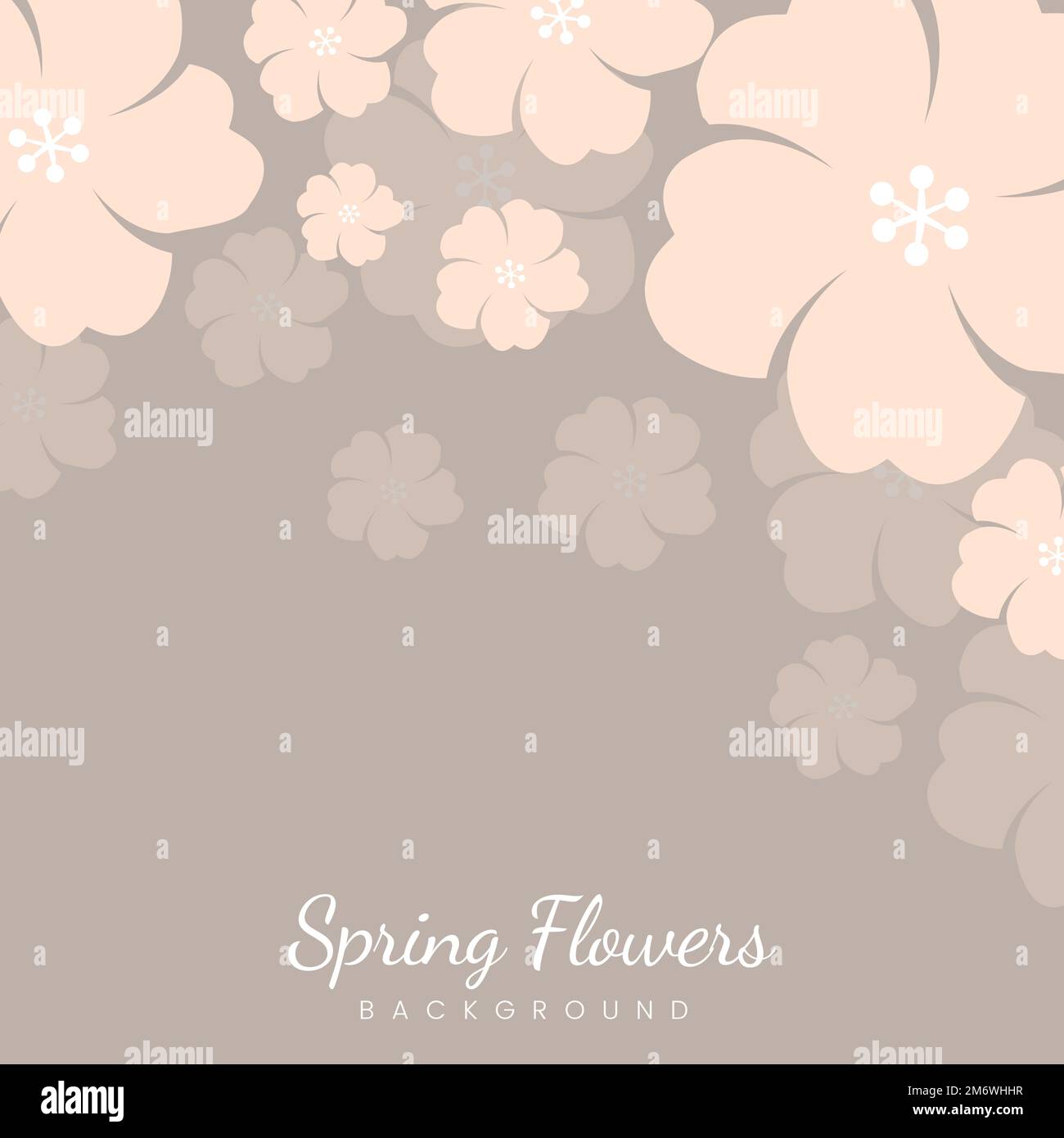 Beige spring flowers border background vector Stock Vector