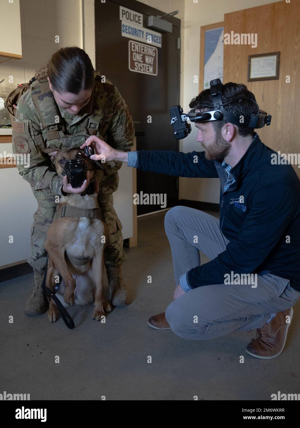 Dr. Kevin Snyder, a veterinary ophthalmologist, examines the cornea of