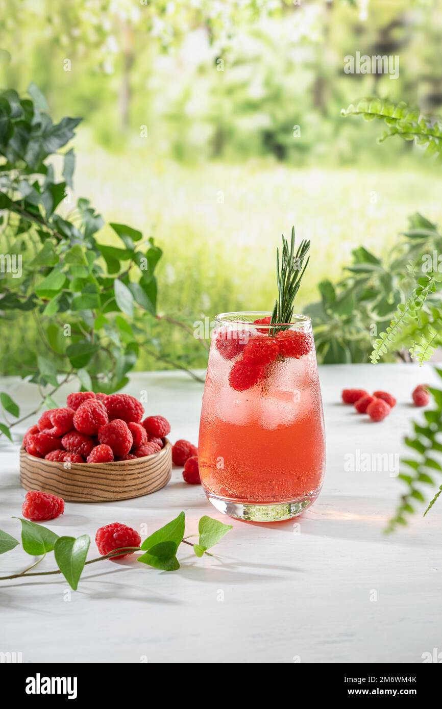 Summer refreshing non-alcoholic cocktails. Raspberry lemonade garnished ...