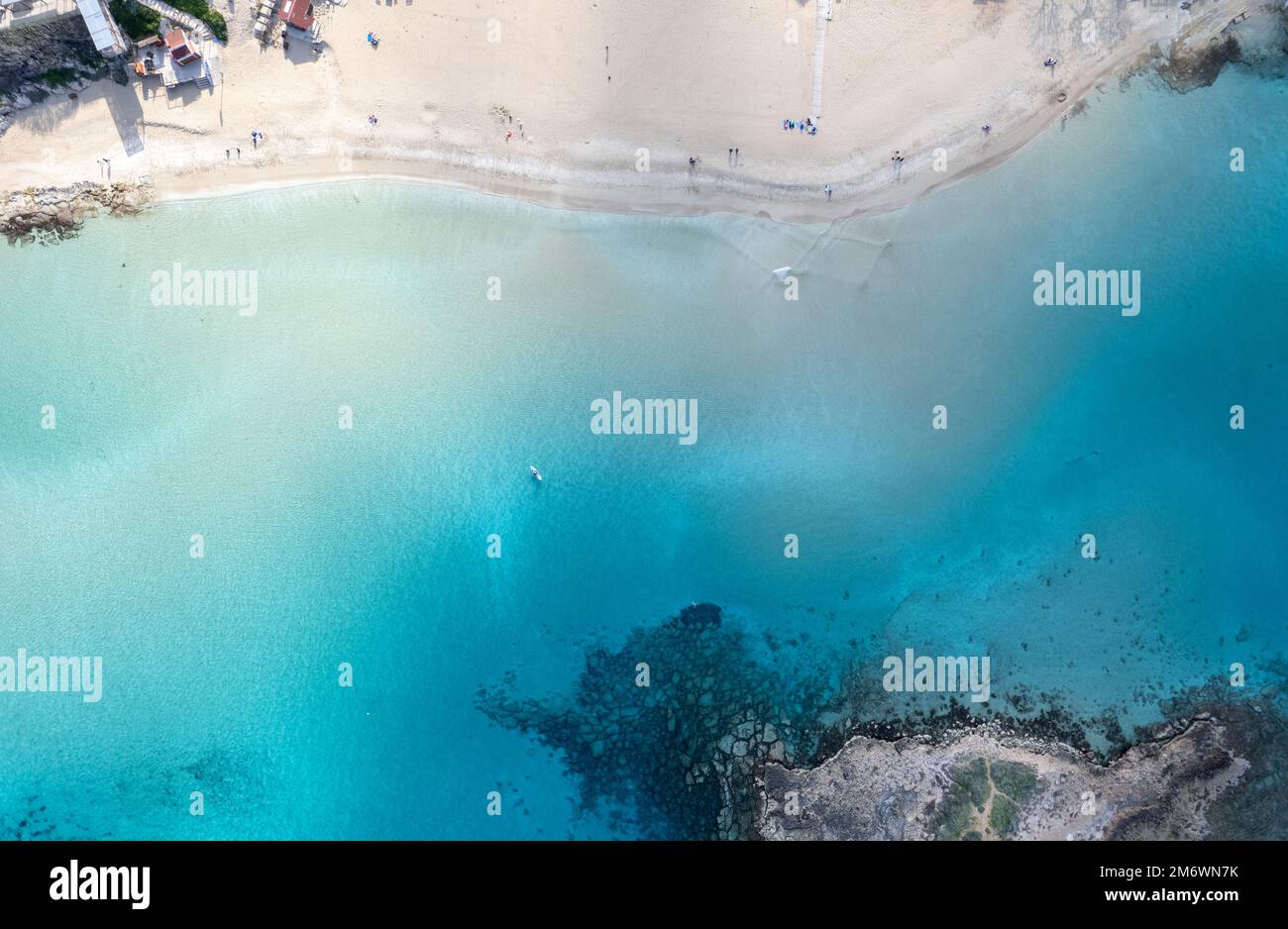 Drone aerial top view of fig tree sandy bay beach in winter. Idyllic