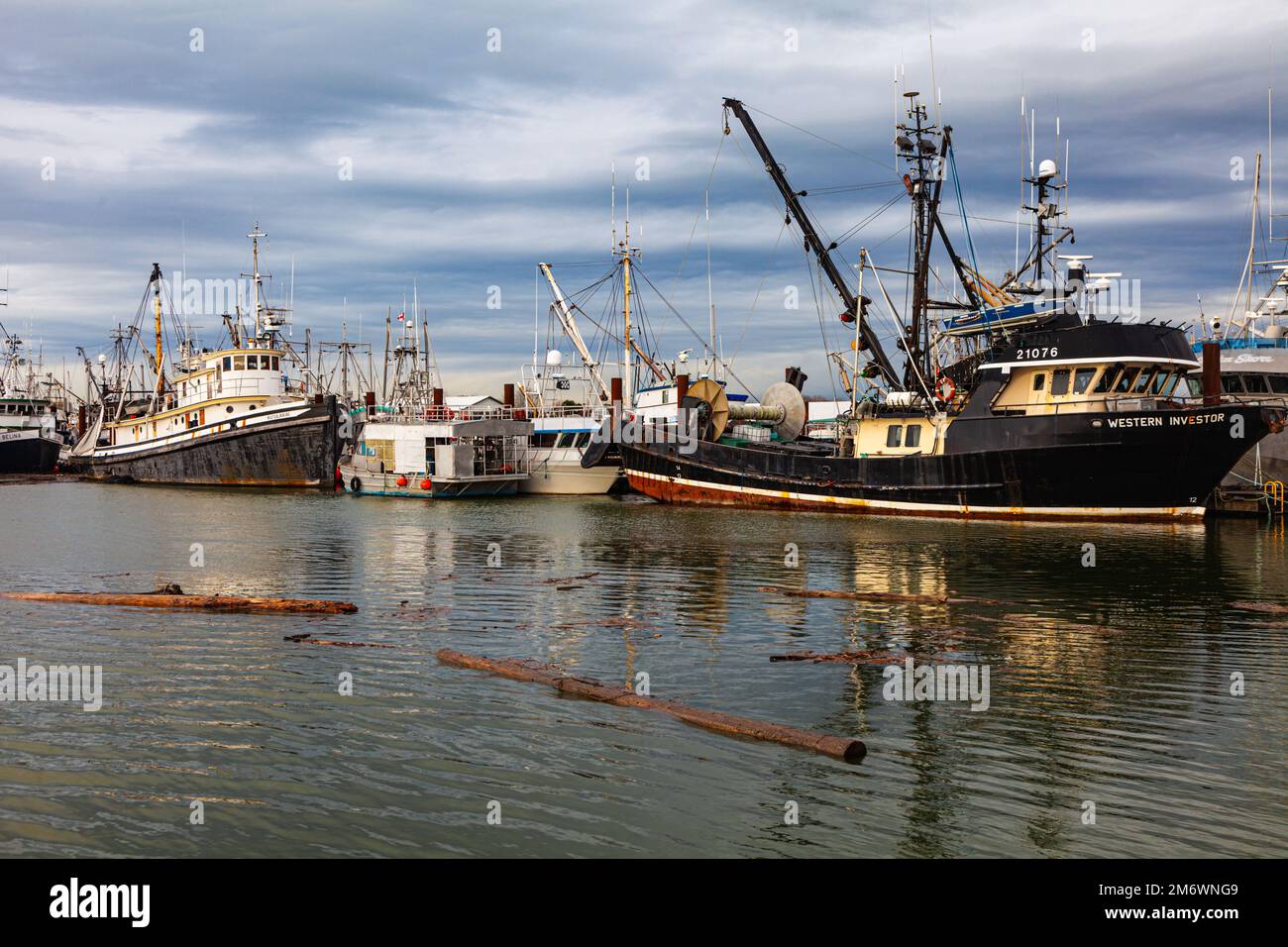 Floating debris after a storm in Steveston Harbour British Columbia Canada Stock Photo