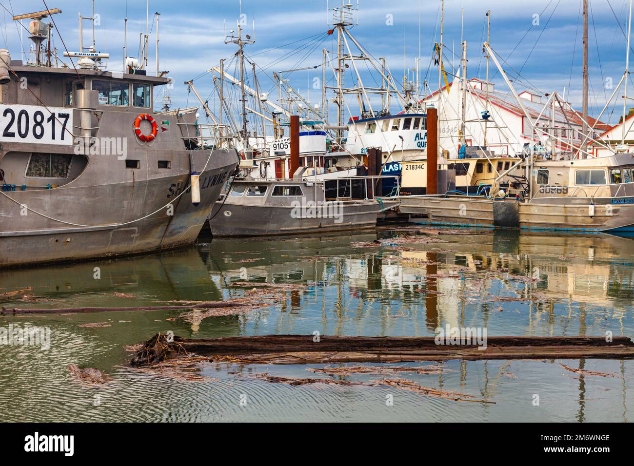 Floating debris after a storm in Steveston Harbour British Columbia Canada Stock Photo